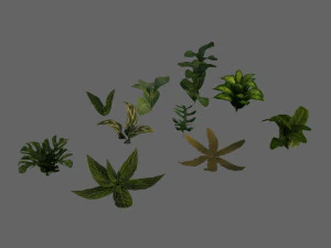 set of plant tropic 5 3D Model