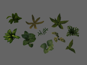 set of plant tropic 5 3D Model