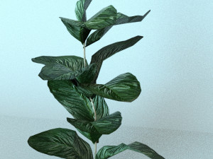 set of plant tropic 5 3D Model