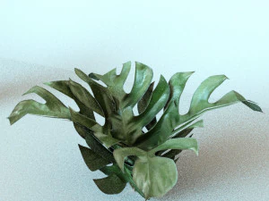 set of plant tropic 5 3D Model