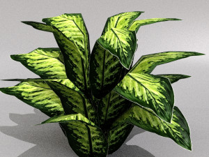 set of plant tropic 5 3D Model