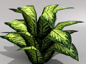 set of plant tropic 5 3D Model