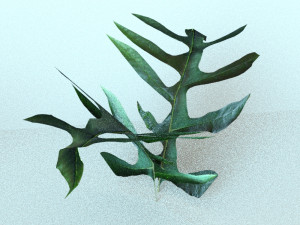 set of plant tropic 5 3D Model