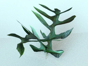 set of plant tropic 5 3D Model