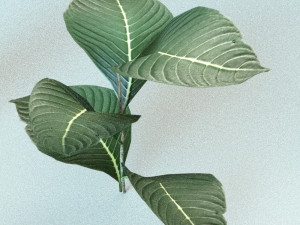 set of plant tropic 5 3D Model