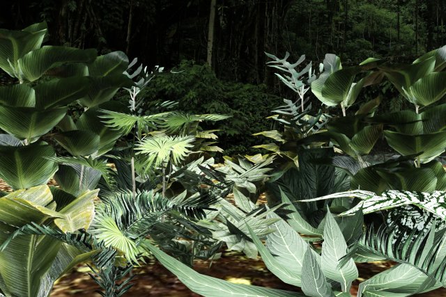 set of plant tropic 6 3D Модель .c4d .max .obj .3ds .fbx .stl .blend