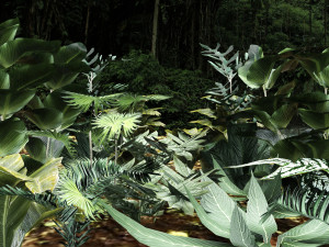 set of plant tropic 6 3D Model
