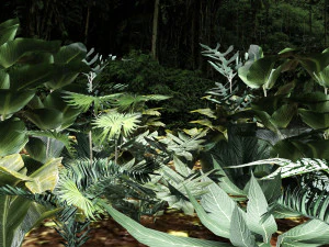 conjunto de plantas tropicales 6 Modelo 3D