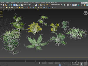 set of plant tropic 6 3D Model