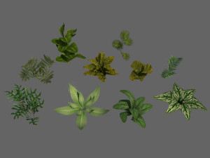 set of plant tropic 6 3D Модель