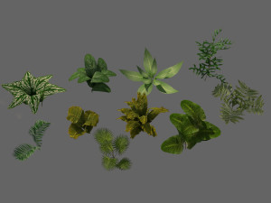 set of plant tropic 6 3D Модель