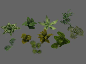 set of plant tropic 6 3D Model