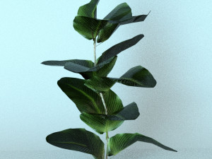set of plant tropic 6 3D Модель