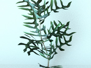 set of plant tropic 6 3D Модель