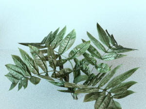 set of plant tropic 6 3D Модель