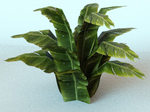 set of plant tropic 6 3D Модель