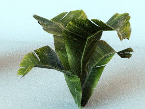 set of plant tropic 6 3D Модель