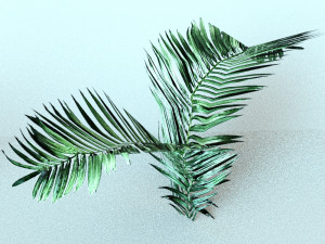 set of plant tropic 6 3D Модель
