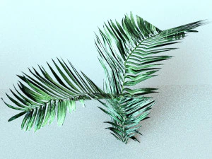 set of plant tropic 6 3D Model