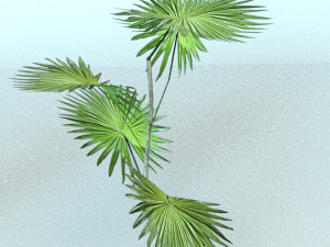 set of plant tropic 6 3D Модель