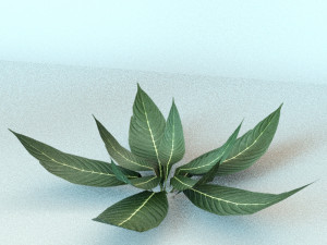 set of plant tropic 6 3D Модель