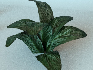 set of plant tropic 6 3D Модель