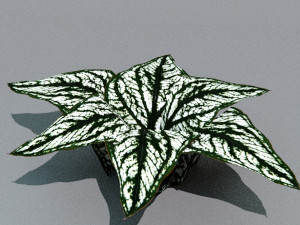 set of plant tropic 6 3D Модель