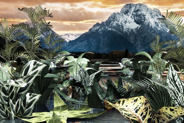 set of plant tropic 7 Modelo 3D .c4d .max .obj .3ds .fbx .stl .blend 