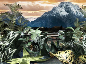 conjunto de plantas tropicales 7 Modelo 3D