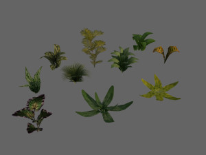 set of plant tropic 7 Modelo 3D