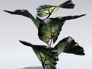 set of plant tropic 7 Modelo 3D