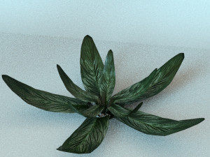 set of plant tropic 7 Modelo 3D