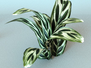 set of plant tropic 7 Modelo 3D