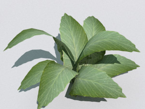 set of plant tropic 7 Modelo 3D