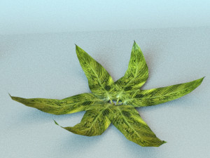 set of plant tropic 7 Modelo 3D