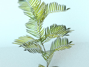 set of plant tropic 7 Modelo 3D