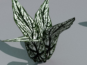 set of plant tropic 7 Modelo 3D