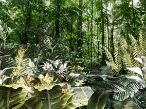 conjunto de plantas tropicales 8 Modelo 3D