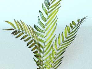 set of plant tropic 8 3D मॉडल