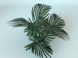 set of plant tropic 8 3D मॉडल