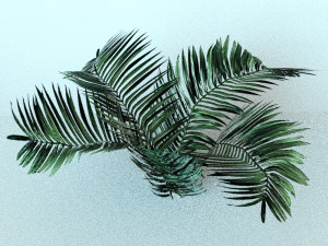 set of plant tropic 8 3D मॉडल