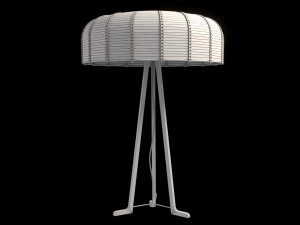 Patrizia Garganti - COUTURE 02 Model 3D