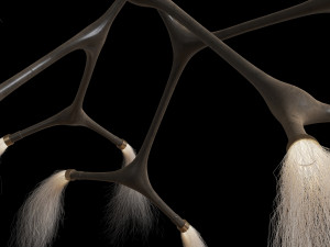 Maratus Horsehair Pendant Lamp by Isabel Moncada Modelo 3D