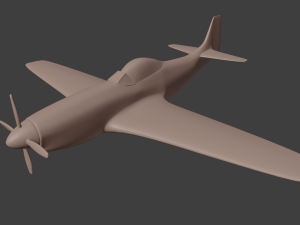 p51 3D Model