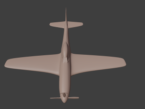 p51 3D Model