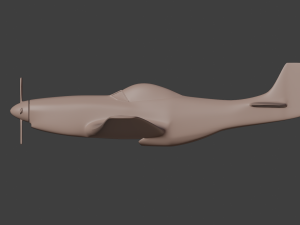 p51 3D Model