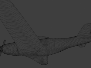 p51 3D Model