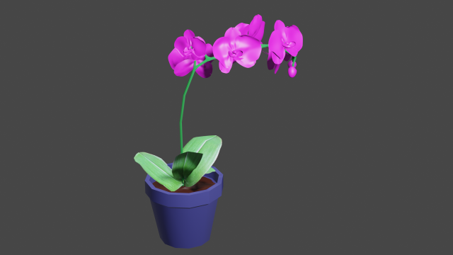 pink phalaenopsis orchid 3D Model .c4d .max .obj .3ds .fbx .stl .blend