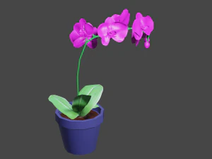 गुलाबी फेलेनोप्सिस आर्किड 3D मॉडल