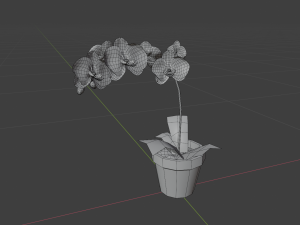 pink phalaenopsis orchid 3D Model